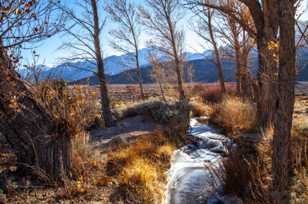 Pinyon Creek 3-9975 Pinyon Creek 3-9975